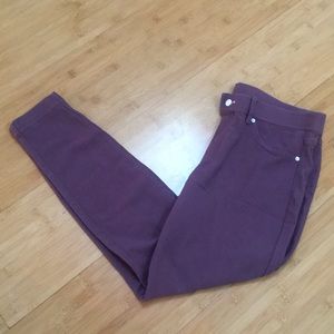 Hue Purple Jeggings